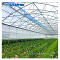 MATERIAL DE TOMATO MULTIMATO MATERIAL DE TOMATO AGRICULTURAL Greenhouse